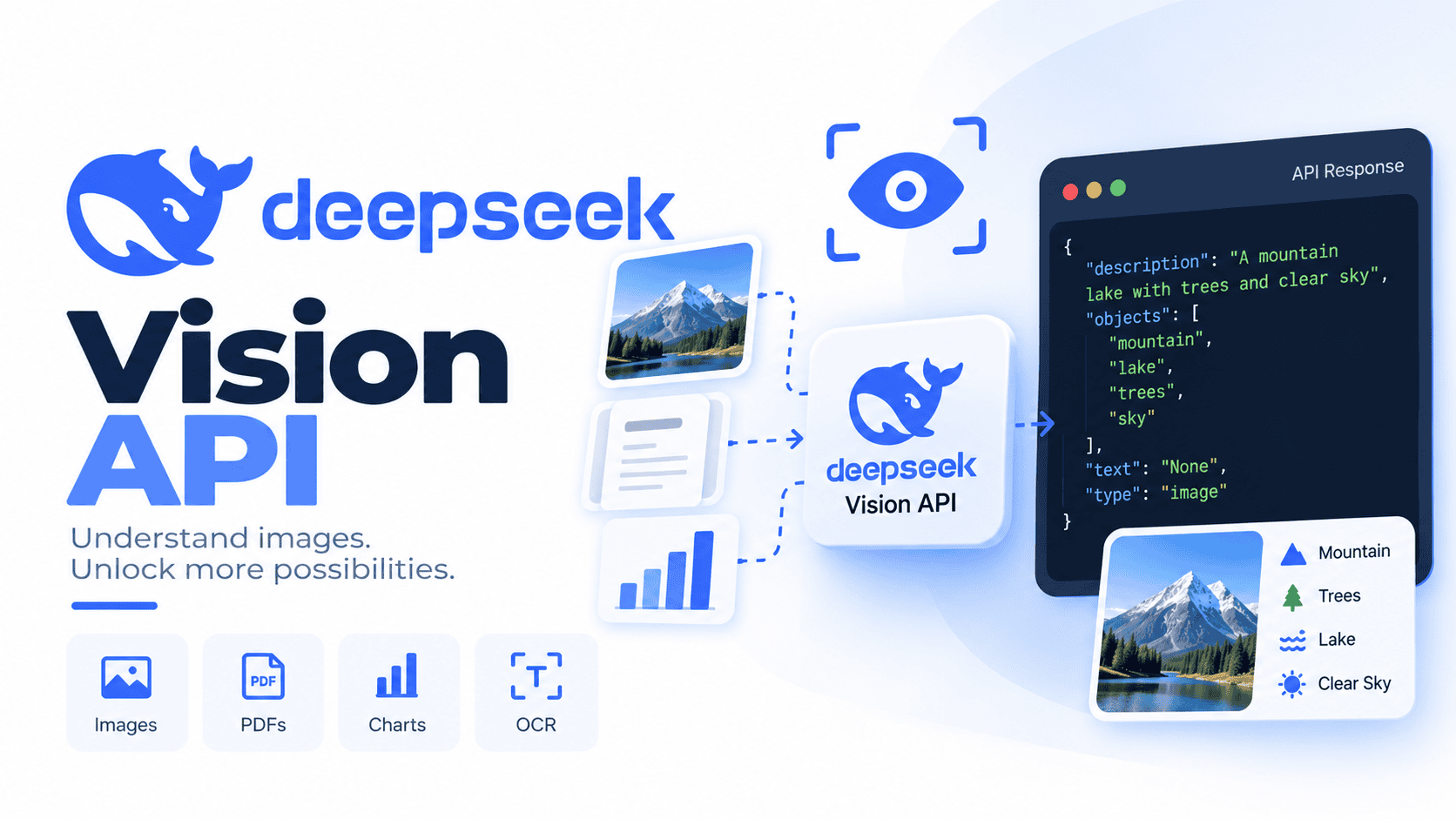 DeepSeek Vision API