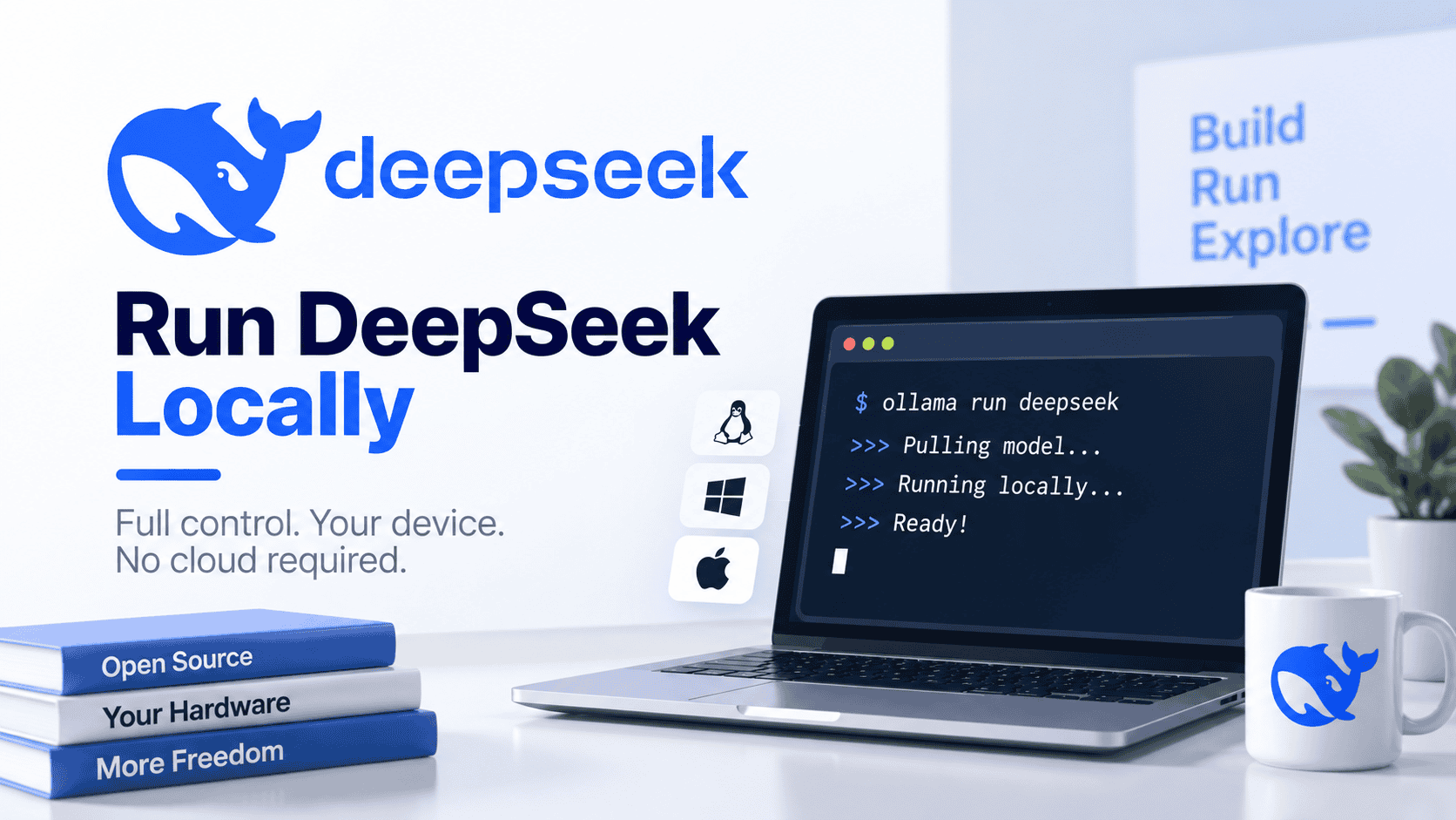Run DeepSeek Locally